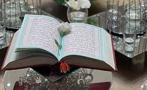 روف گاردن عقد هانیل روف گاردن عقد هانیل