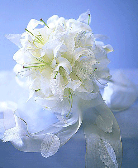 12دسته گل عروس برای فصل سرد