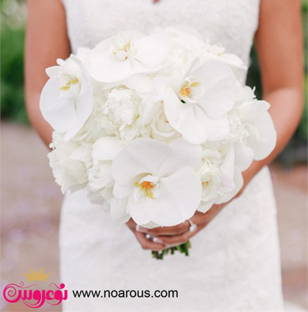 آلبوم دسته گل سفید برای عروس