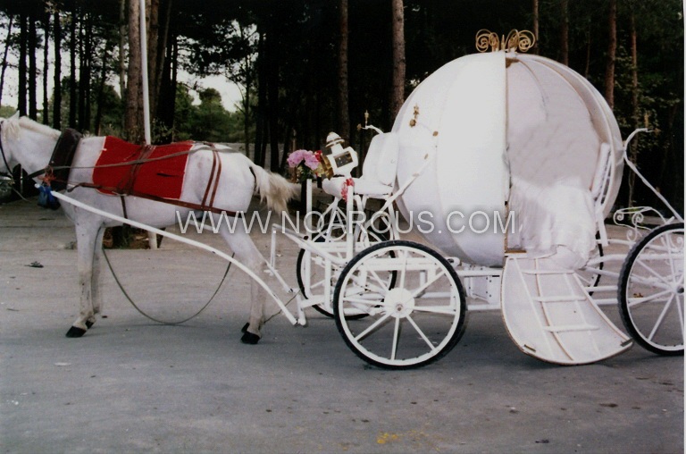 آلبوم عکس ماشین عروس