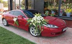 گل سرای جی سی