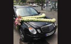 گل سرای کوروش