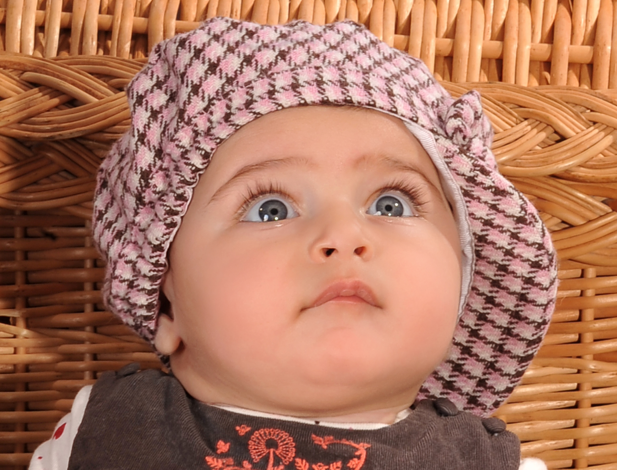 استودیو عکس و فیلم شید استودیو عکس و فیلم شید