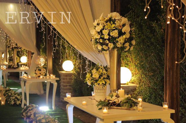 تشریفات اروین (سناتور) تشریفات اروین (سناتور)