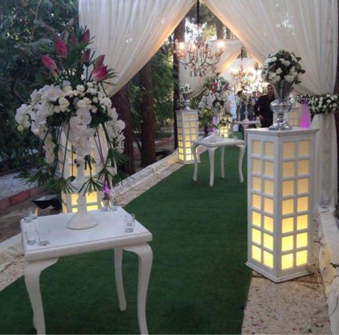 تشریفات مجالس سی دا تشریفات مجالس سی دا
