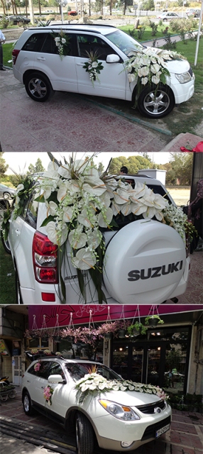 گل سرای جی سی گل سرای جی سی