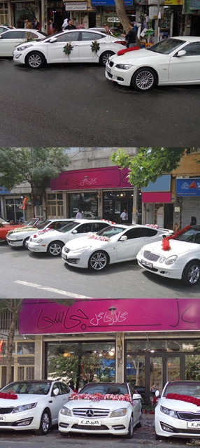 گل سرای جی سی گل سرای جی سی