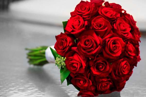 گل سرای روما آرمانی گل سرای روما آرمانی