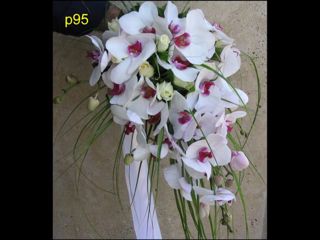 گل سرای ، گل مریم گل سرای ، گل مریم