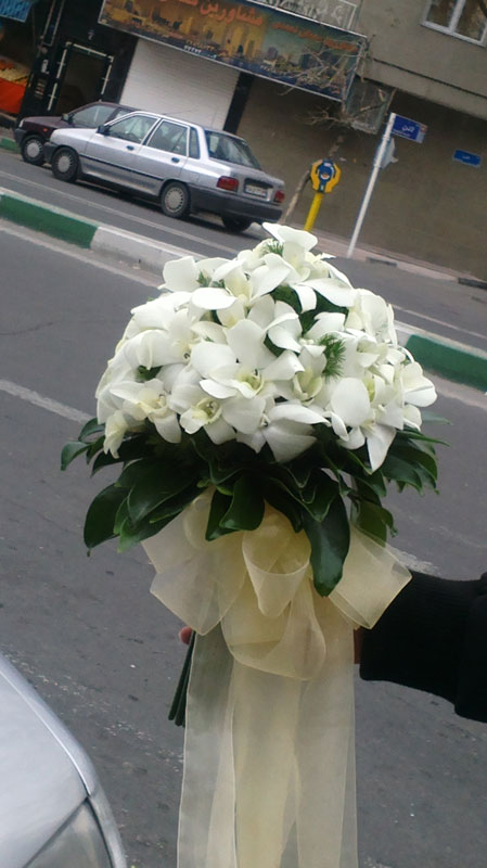 گل سرای ، گل مریم گل سرای ، گل مریم