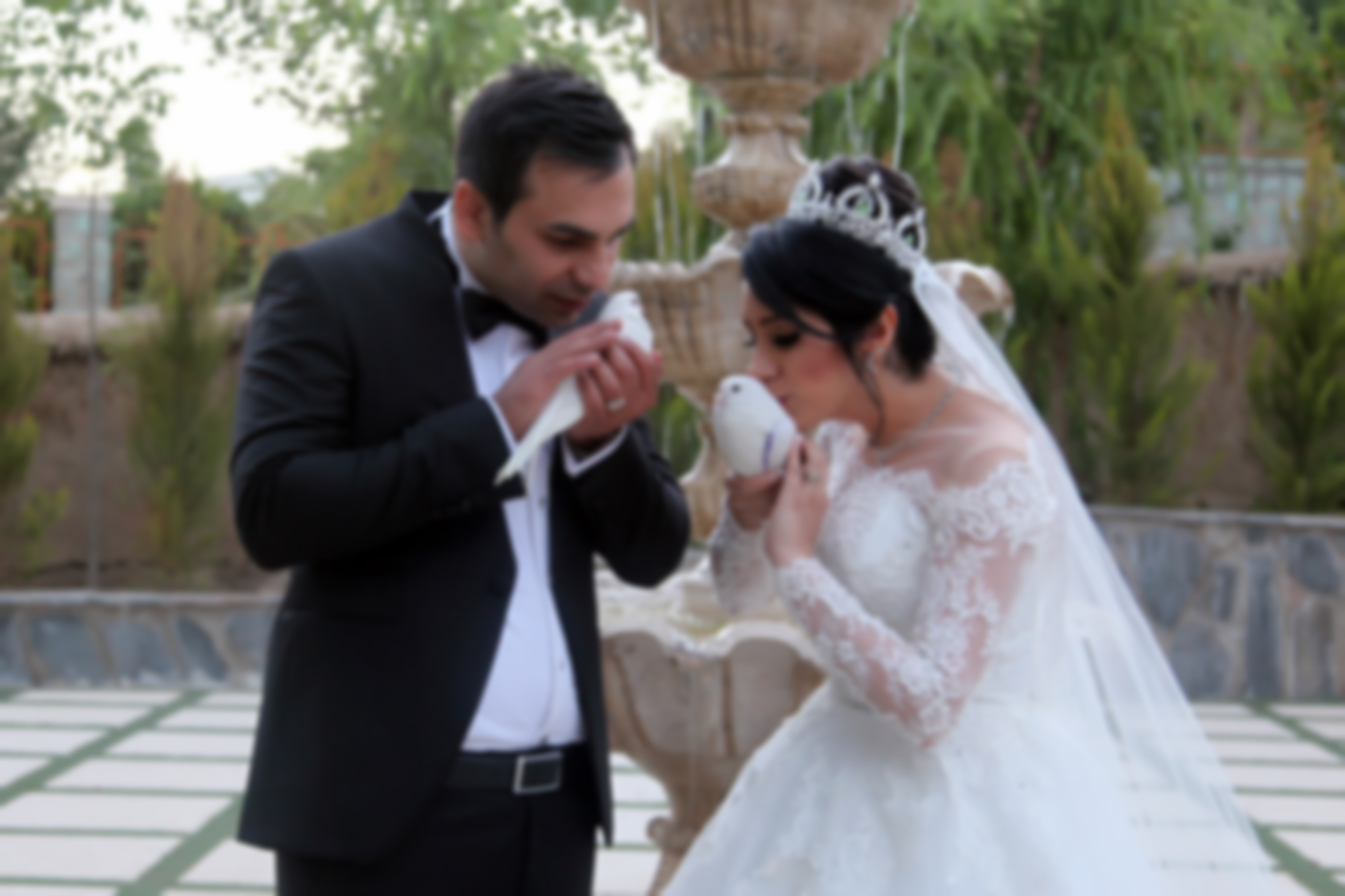 آتلیه عکس وفیلم گلین آتلیه عکس وفیلم گلین