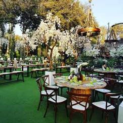 تشریفات شام رمانتیک