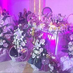 مجموعه تشریفات موگه