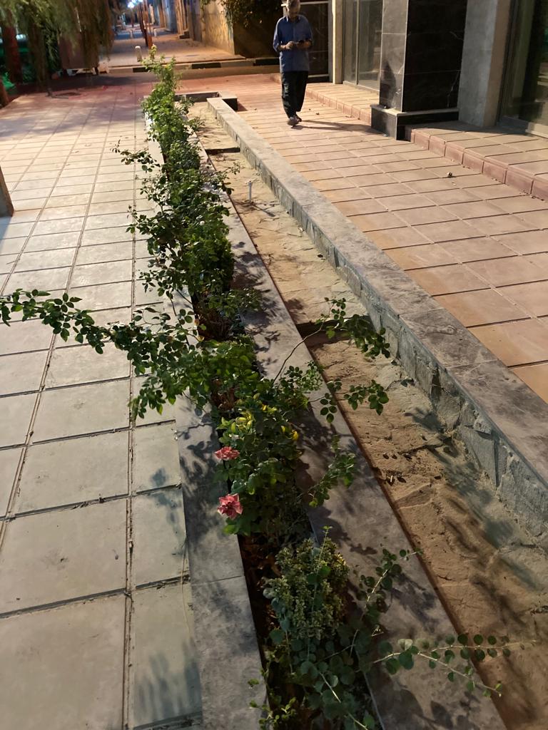 مجتمع پذیرایی گندم زار طلایی مجتمع پذیرایی گندم زار طلایی